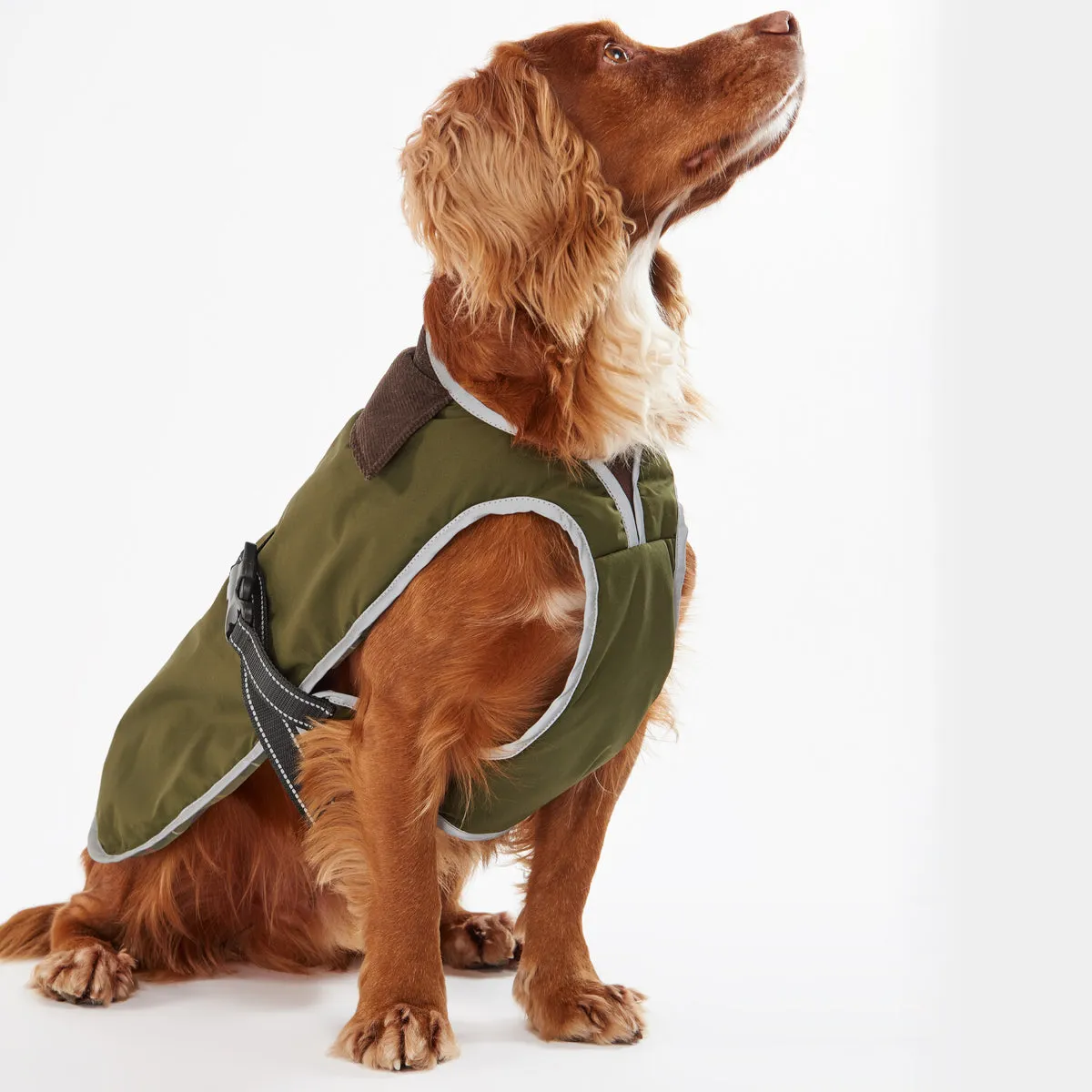 Barbour Monmouth Olive Waterproof Dog Coat