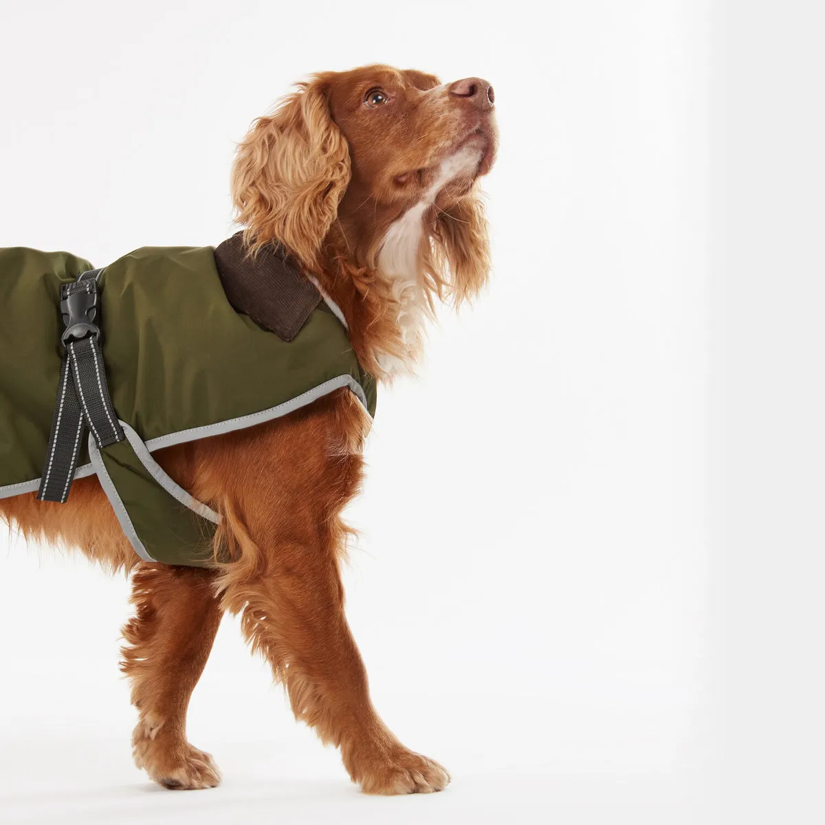 Barbour Monmouth Olive Waterproof Dog Coat