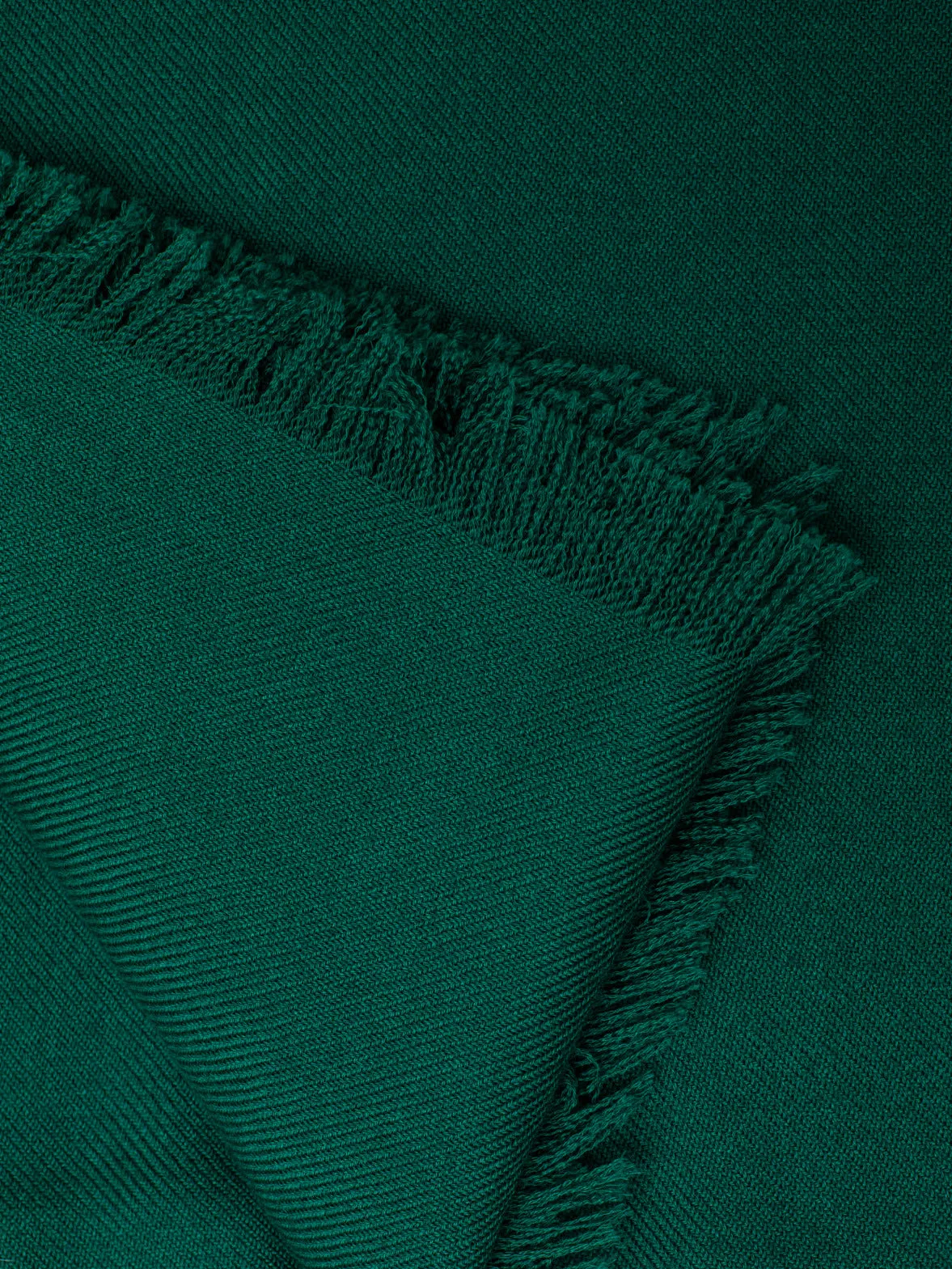 Green Cashmere Scarf - Gallus Fashion