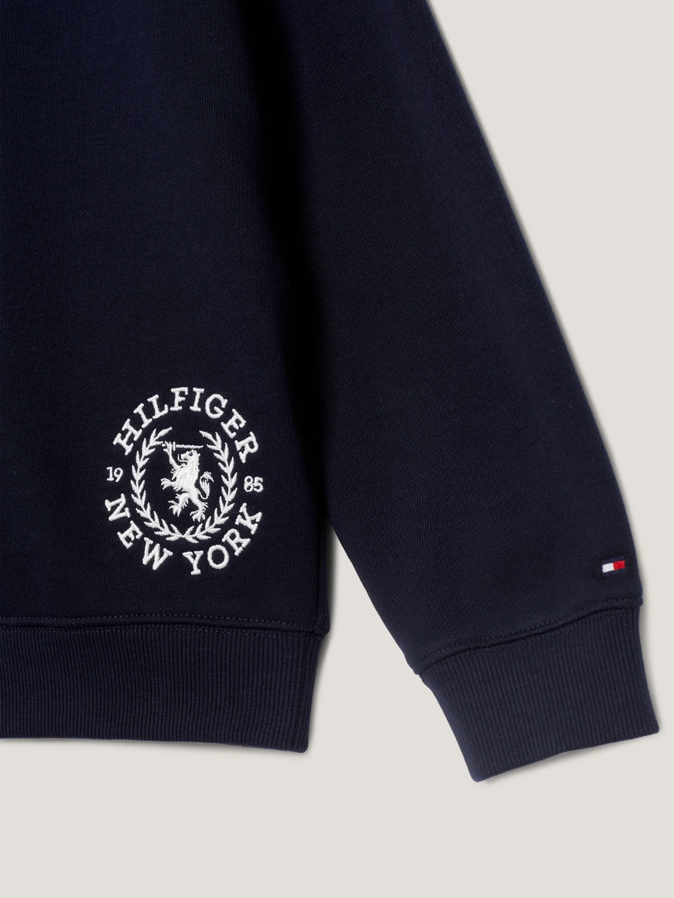 Tommy Kids Boys 8-16 Varsity TH Crest Logo Hoodie | Sweatshirts and Hoodies